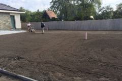 Fuvesites_Aranyhegy_01