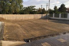 Fuvesites_Aranyhegy_04