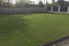Fuvesites_Aranyhegy_06