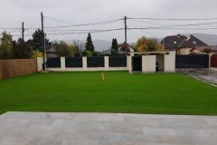 Fuvesites_Aranyhegy_11