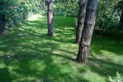 Csaladihaz_kertfenntartas_Telki_06