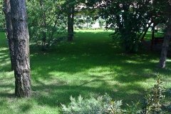 Csaladihaz_kertfenntartas_Telki_07