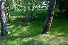 Csaladihaz_kertfenntartas_Telki_08