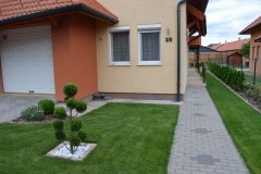 Kertepites_ontozorendszer_Dunaharaszti_15