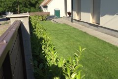Kertepites_Godollo_05