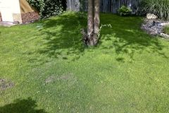 Ontozorendszer_es_fuvesites_Dunaharaszti_44