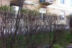 sovenynyiras_13ker_01