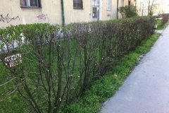 sovenynyiras_13ker_05