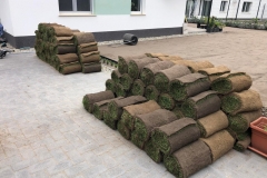 szentendre_fuvesites_02