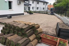 szentendre_fuvesites_03