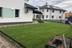szentendre_fuvesites_04