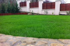 Veresegyhaza_ontozorendszer_fuvesites_05